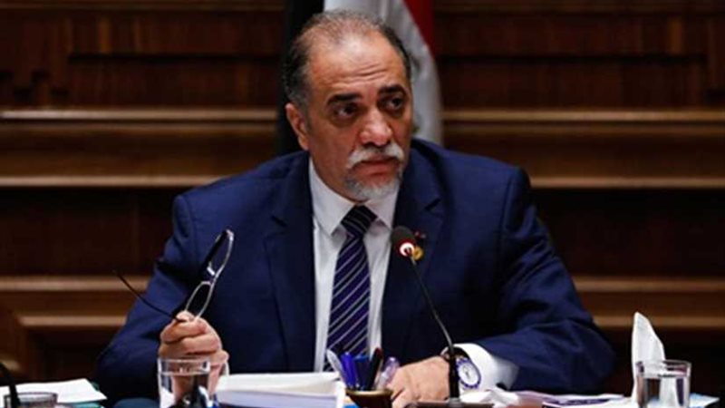 رئيس ائتلاف دعم مصر