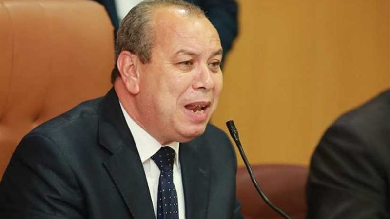 محافظ كفرالشيخ يستعرض