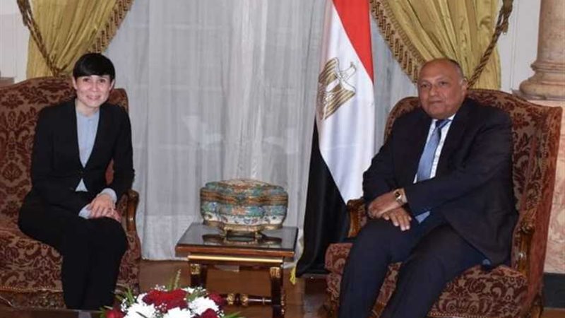 شكري ونظيرته النرويجية