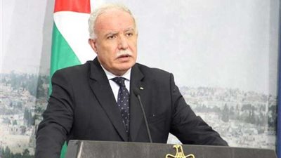 المالكي يطالب بتفعيل شبكة الأمان المالية العربية لفلسطين