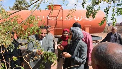 أول مزرعة لـ