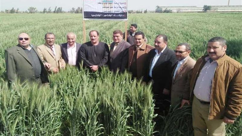 زراعة البحيرة تنظم