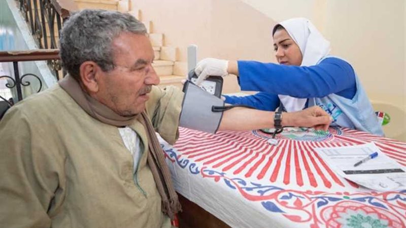 صندوق تحيا مصر :