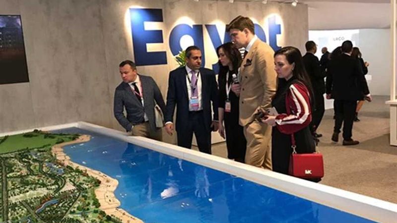 الحكومة والقطاع الخاص: