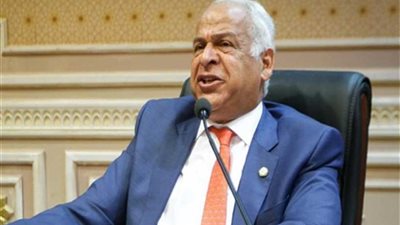 رئيس لجنة الصناعة بالبرلمان: مصر تولي اهتماما خاصا بتأهيل الشباب العربي الأفريقي