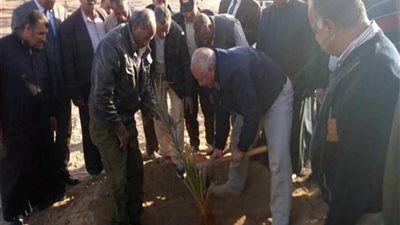 وضع حجر أساس أول مشروع لإنتاج فسائل النخيل بالوادي الجديد