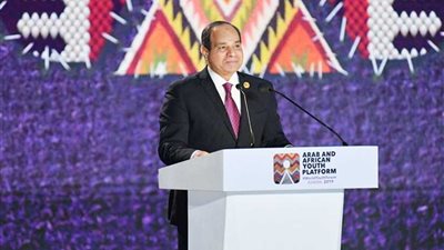 الرئيس السيسي للشباب العربي والإفريقي: 