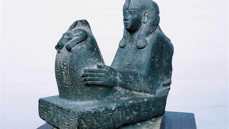 قطع الأسبوع بالمتحف