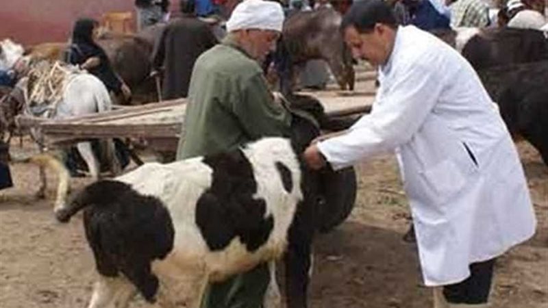 تحصين أكثر من 271