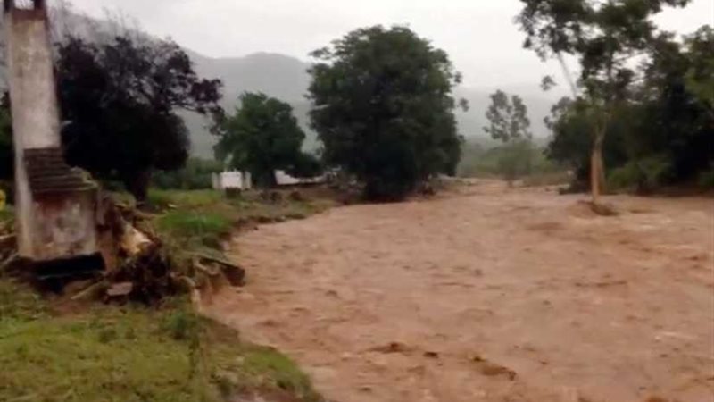 مصرع 113 شخصًا في