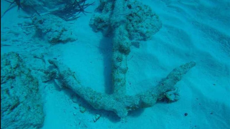 العثور على عدد من