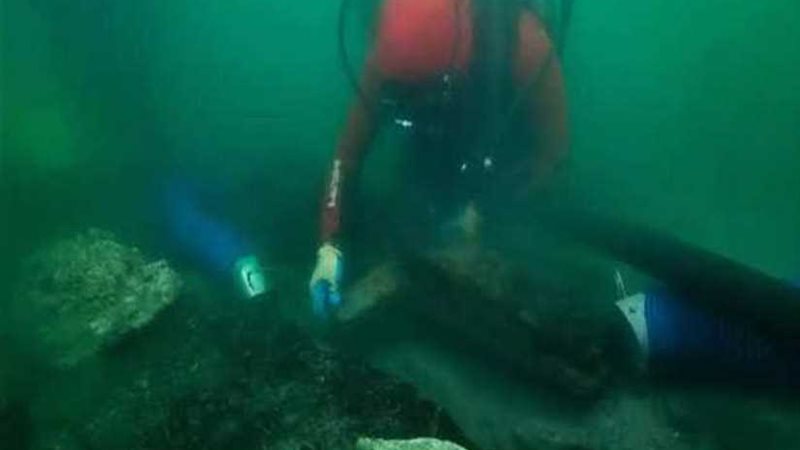 اكتشاف أثرى يكشف