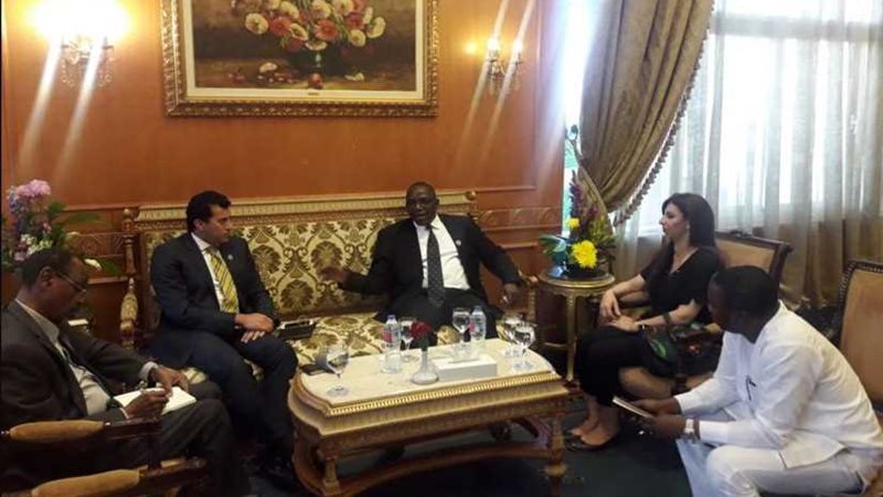 صبحي يلتقي وزراء