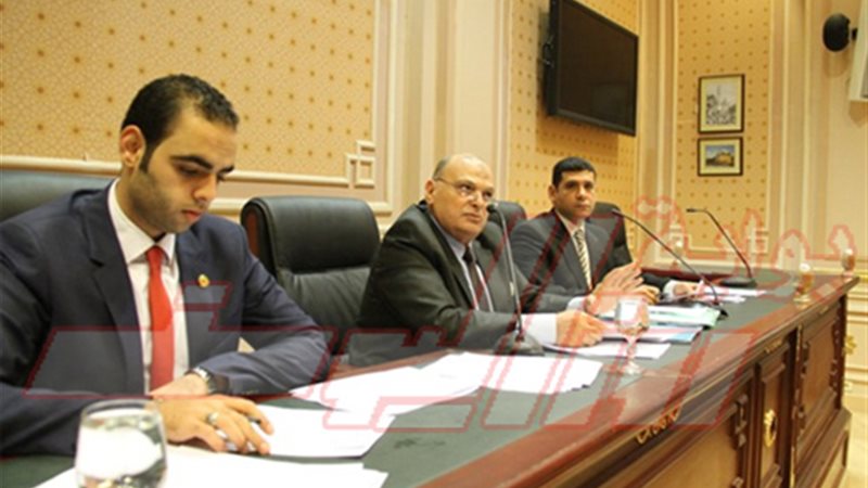 وكيل لجنة الأمن القومى