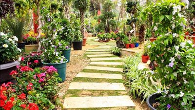 ارتفاع عدد المشاركين فى معرض الزهور لـ 180 عارضاً