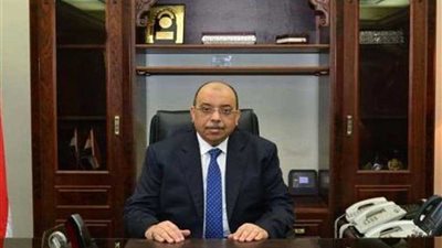 وزير التنمية المحلية يطالب المحافظين بالمتابعة اليومية لحملة 100 مليون صحة