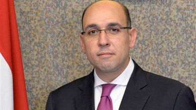 الخارجية: تصريحات لشكري حول سوريا تم اجتزاؤها