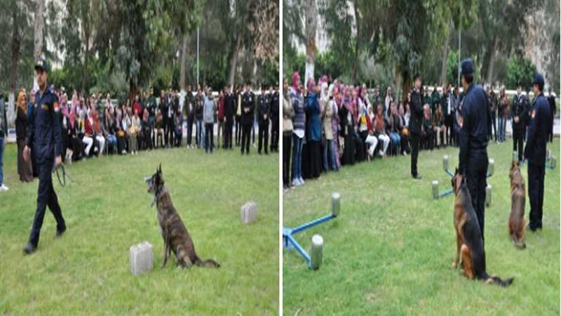 تدريب كلاب الحراسة