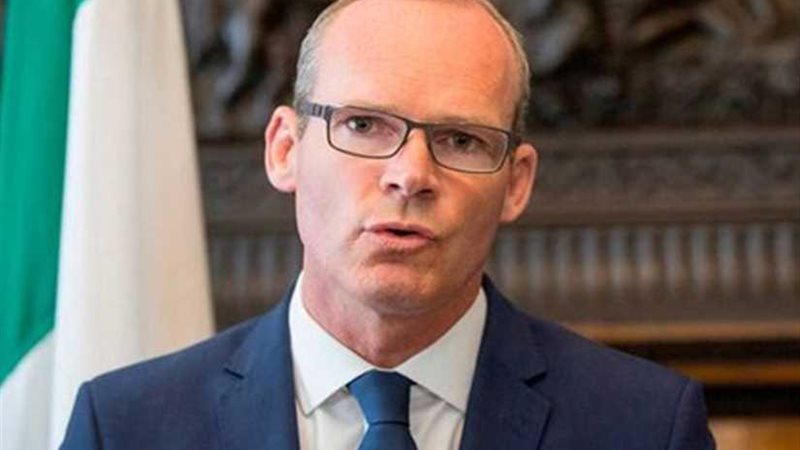 نائب رئيس الوزراء