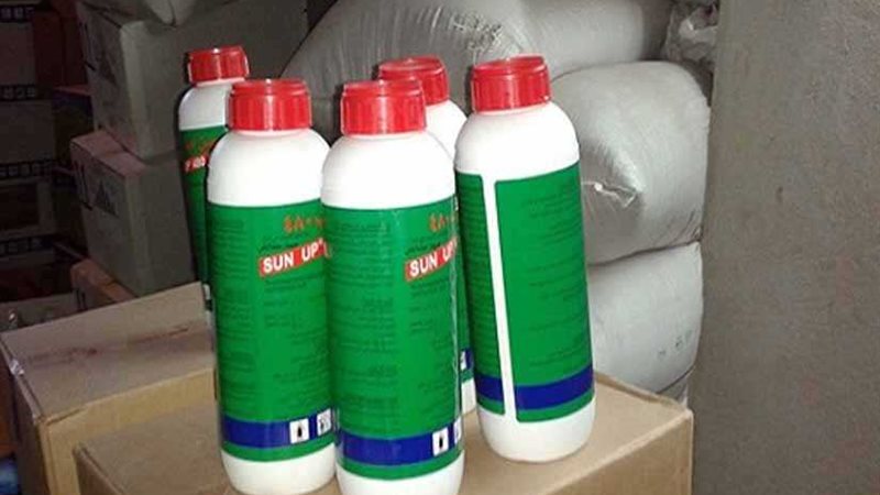 تموين الإسكندرية: