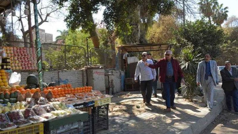 محافظ الجيزة يوجه