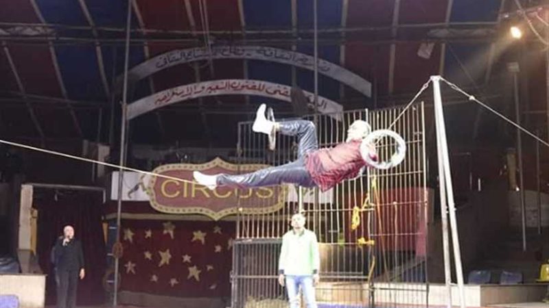 السيرك القومي يقدم