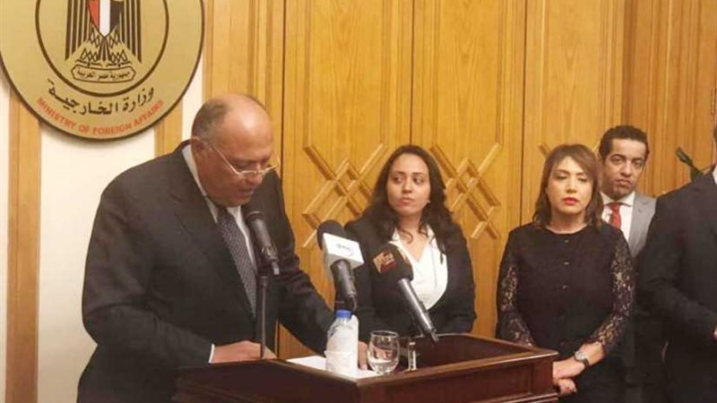 شكري يؤكد أهمية دور