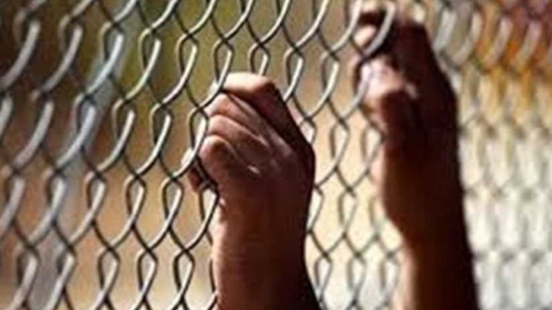 نيابة أمن الدولة