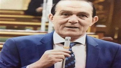 هيكل: الشعب صاحب الرأي الأول والأخير في التعديلات الدستورية