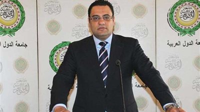 عفيفي: القمة العربية 31 مارس ووفد الجامعة يتوجه إلى تونس