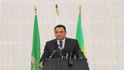 عفيفي: قرارات الجامعة العربية تؤكد عروبة الجولان