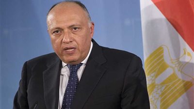 شكري: سويسرا شريك مهم لمصر وعلاقات البلدين مبنية على المصلحة المشتركة