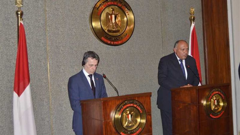 شكرى يدعو نظيره السويسرى