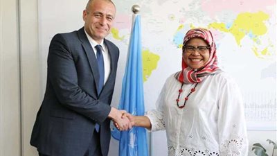 سفير مصر في كينيا يبحث مع وكيل السكرتير العام للأمم المتحدة التعاون المشترك