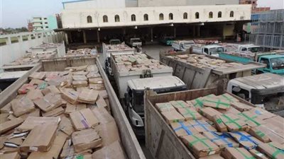 بالصور.. ضبط 441 طنًا أسماكًا فاسدة بثلاجة في بنها