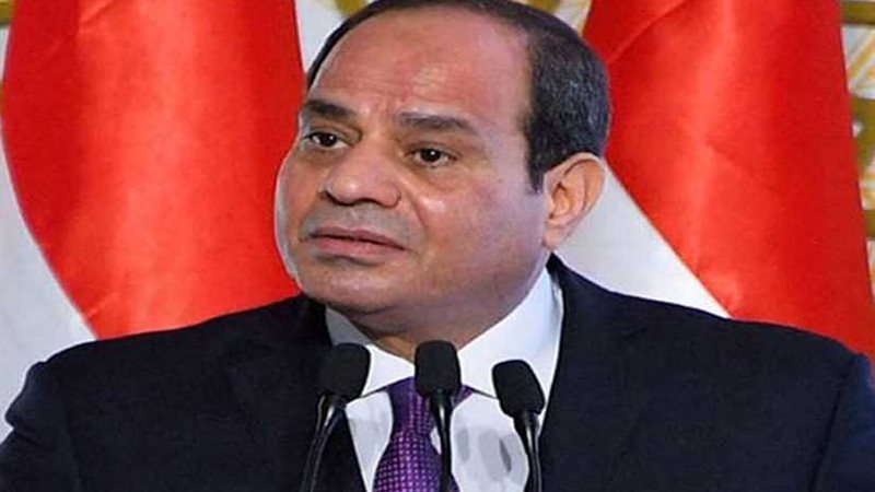 السيسي: ناقشت مع