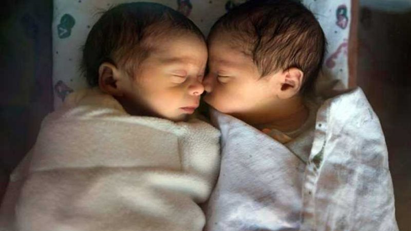 الحامض النووي يكشف