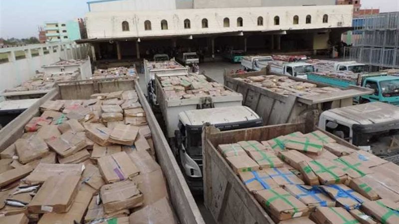 بالصور.. ضبط 441