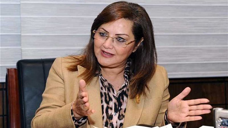 وزيرة التخطيط تبحث