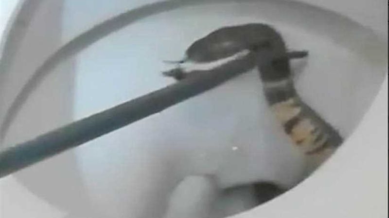 قاتل في بيت الراحة..