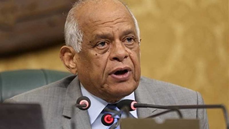 عبدالعال: حكم المعاشات