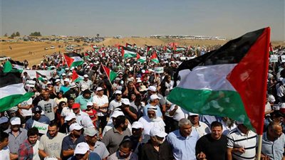 273 شهيدًا بينهم 51 طفلًا و5 سيدات حصيلة عام كامل من المسيرات السلمية في غزة