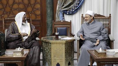 مفتي نيجيريا: جهود الأزهر في إفريقيا تسهم بقوة في مواجهة جماعات الإرهاب