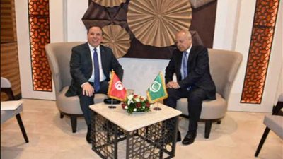 أبو الغيط يبحث مع وزير خارجية تونس الموضوعات المطروحة على جدول أعمال القمة العربية