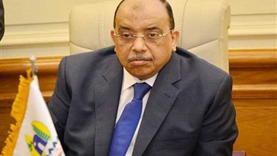 وزير التنمية المحلية: الأم المصرية رمز العطاء وخير مثال للتضحية وإنكار الذات