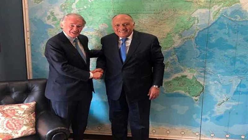 شكري يلتقي عضوي مجلسي