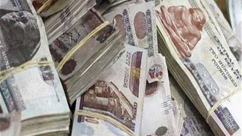 50 مليون جنيه حصيلة