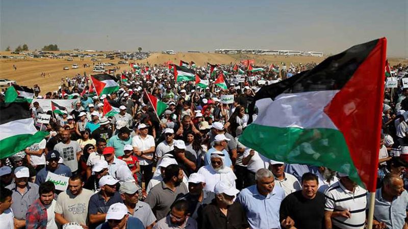 273 شهيدًا بينهم