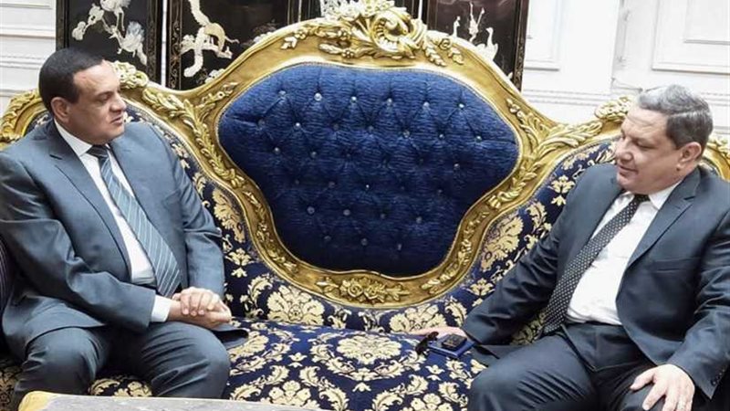 محافظ البحيرة يستقبل