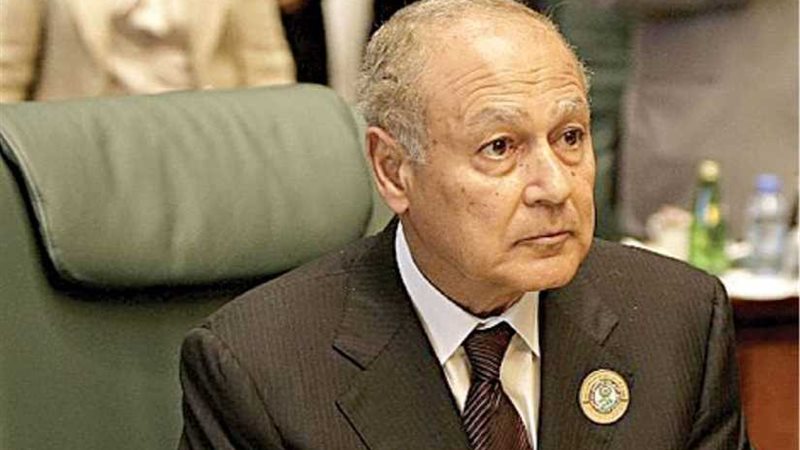 أبو الغيط يشيد بالجهود